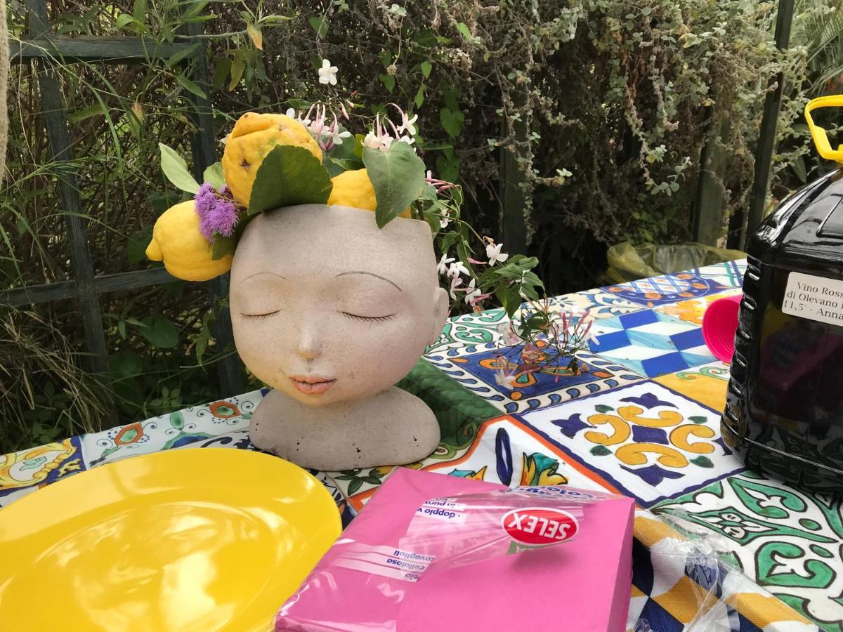 La Gallina Felice B&B Meta Kültér fotó