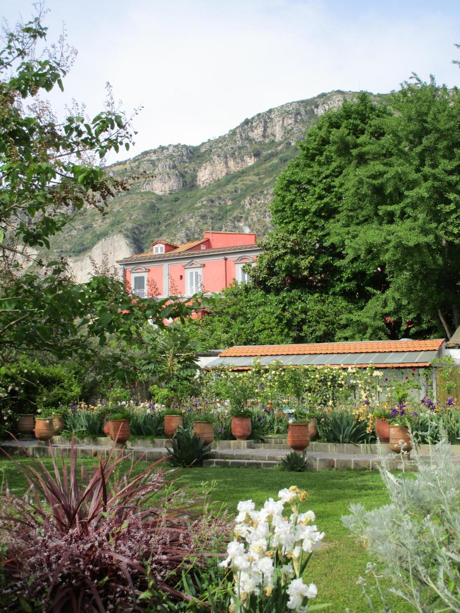 La Gallina Felice B&B Meta Kültér fotó