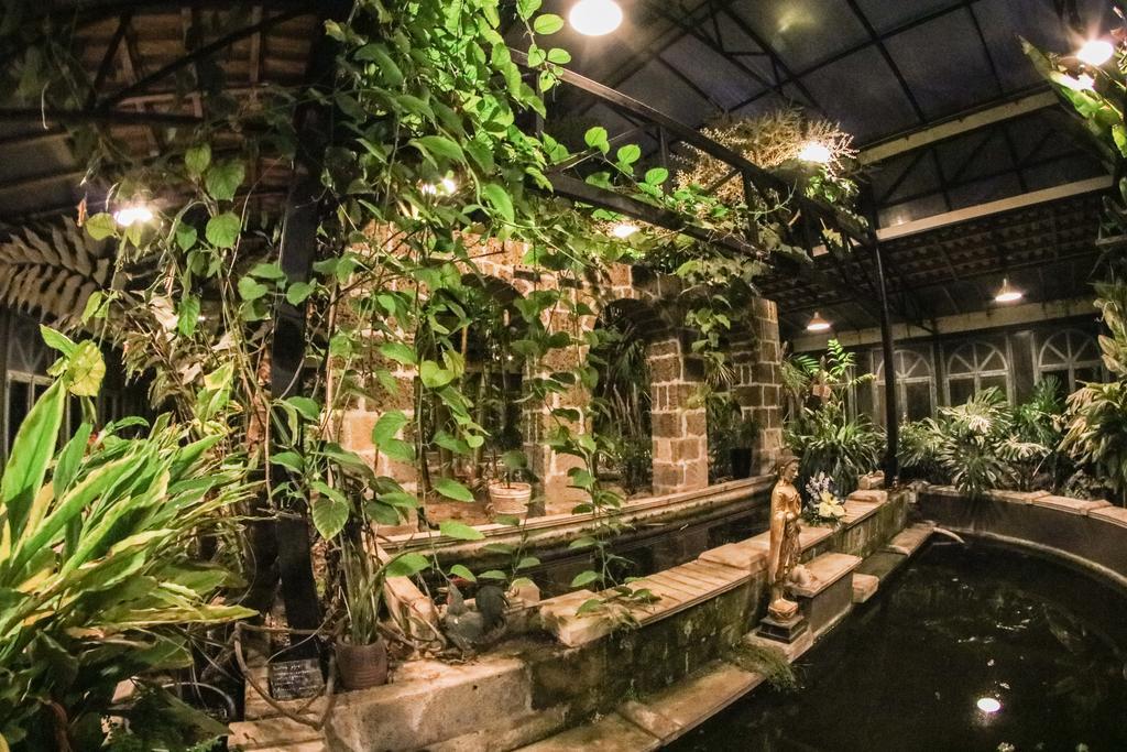 La Gallina Felice B&B Meta Kültér fotó